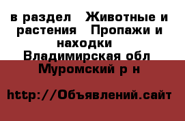  в раздел : Животные и растения » Пропажи и находки . Владимирская обл.,Муромский р-н